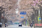 弥勒共建“花园城市” 北京这场议政会“百花齐放”